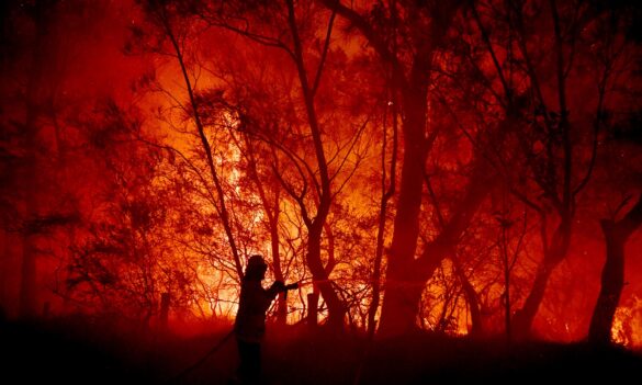 Rural Fire Service Award update: Confirm your support for the new RFS Award