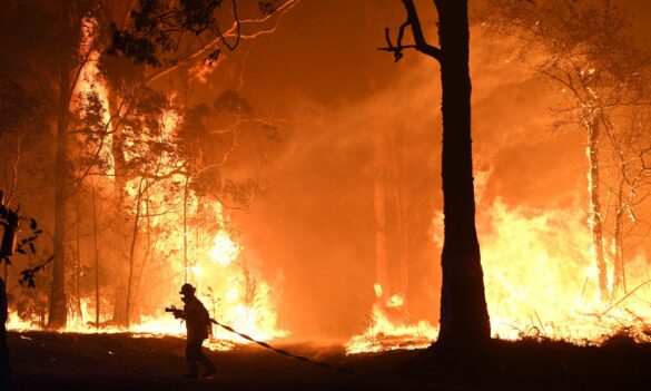 National Parks and Wildlife Service September bulletin