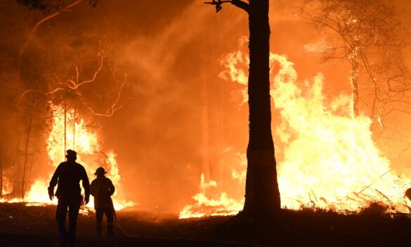 Rural Fire Service Award update: Message from the PSA