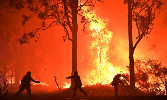 National Parks Vocational Branch February update