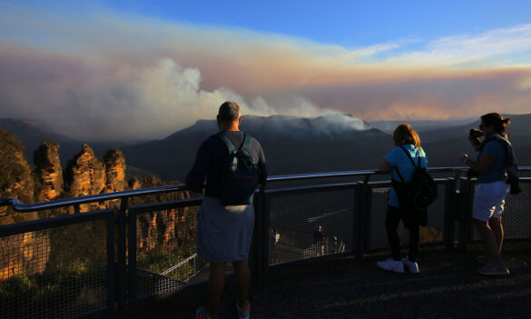 National Parks and Wildlife Service update
