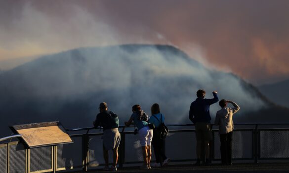 Don’t forget to have your say! Fill out the PSA Bushfire Survey