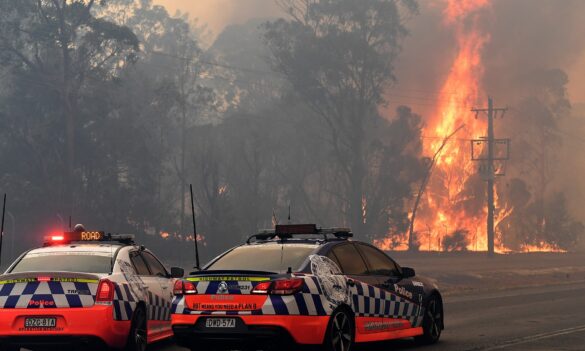 Enough words, time to hold government accountable for bushfire failures: PSA