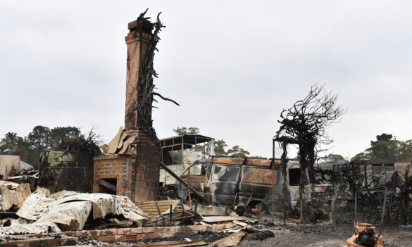 PSA CPSU NSW members affected by bushfires