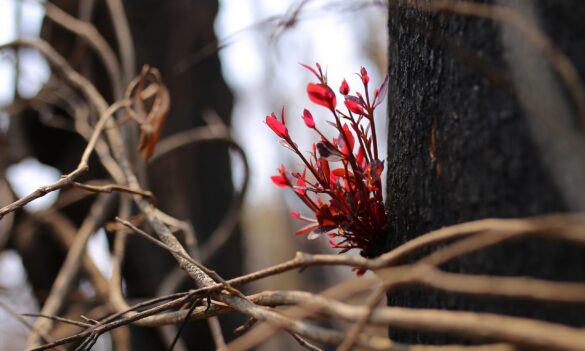 Thank you for your input into the Communications, Marketing and Engagement change feedback