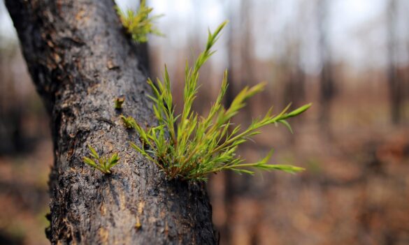 EPA Executive restructure update