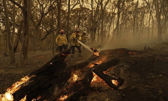 RFS Delegates Committee meeting
