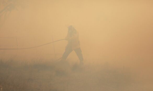 Office of Emergency Management: move to Department of Premier and Cabinet