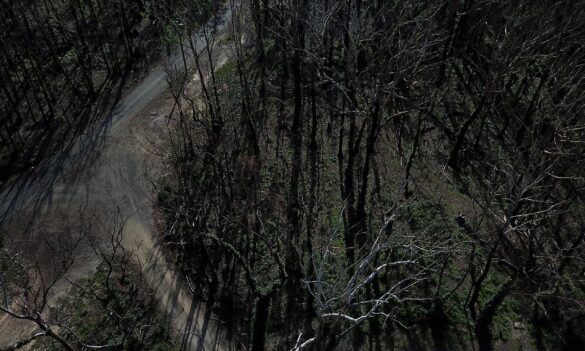 Rural Fire Service staff vacancies and District Structure survey