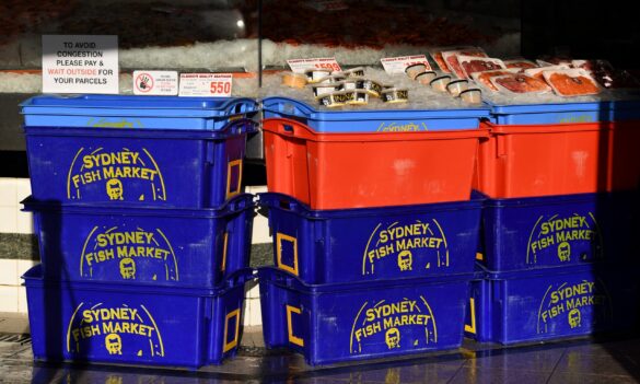 Fisheries Compliance: new sick leave arrangements applied, then pulled