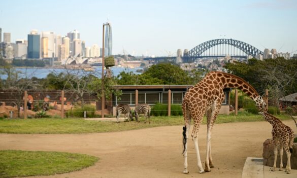 Casual Keeper progression