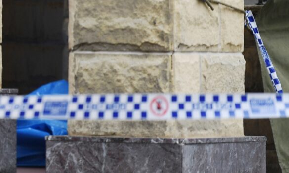 Victims Services member update