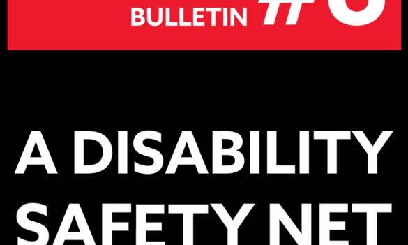 ELECTION PROMISES BULLETIN #6- A DISABILITY SAFETY NET