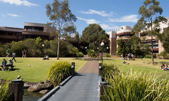 Have your Say – meet the CPSU NSW on Campus