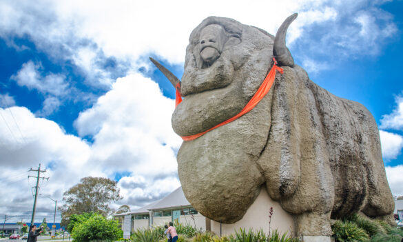 PSA meeting for Goulburn members