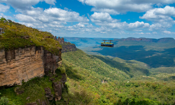 National Parks and Wildlife Service Joint Consultative Committee update
