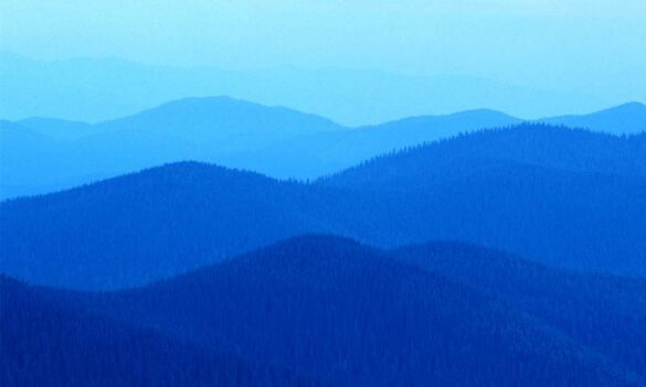 CPSU NSW consultation with Life Without Barriers on Award expiry