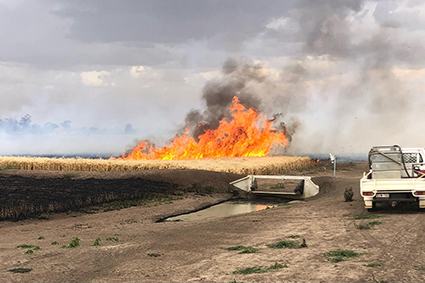 Overtime dispute with Rural Fire Service: An update for PSA members