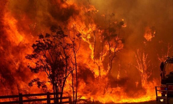 Rural Fire Service award review