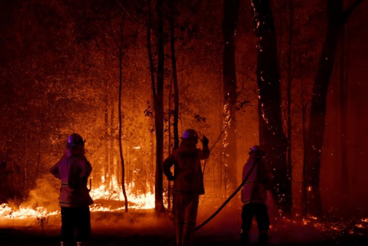 Deputy Premier’s war with environment fuels bushfire crisis, weakens NSW – 23 Jan 2020