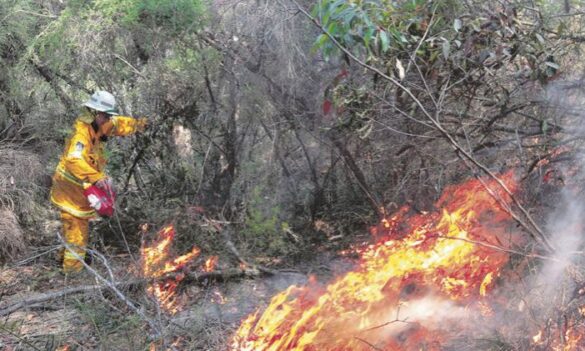 RFS Award update: Shift Work and Incident Conditions