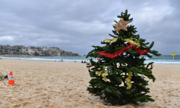 Community Services: 2022 Christmas Closedown