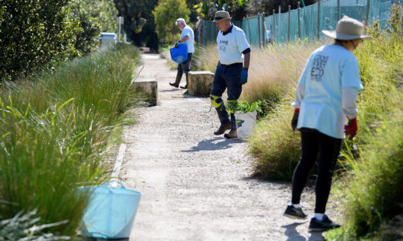 Department of Planning and Environment Departmental Committee update