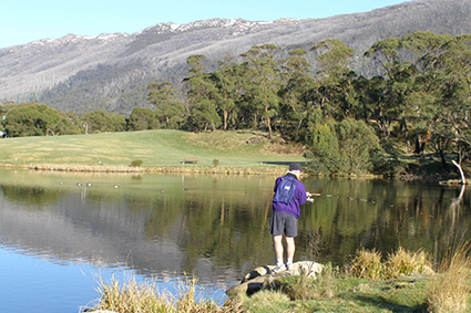 Dispute update: Tumut and Jindabyne District offices reform