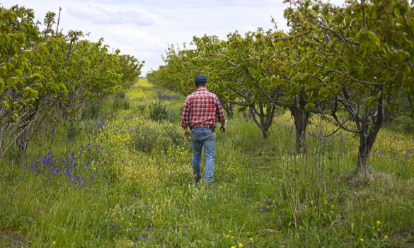 What’s in consultation? Department of Regional NSW Harvest Leave disputation members’ bulletin