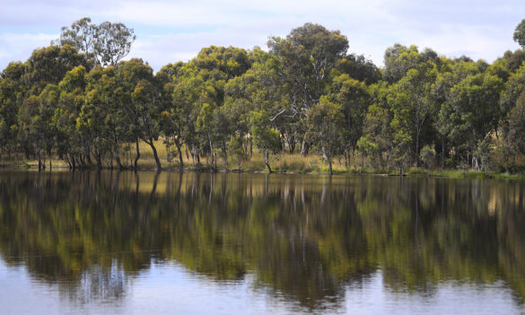Natural Resources Access Regulator: Proposed transfer of the licensing and approval functions to Water Operations
