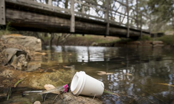 Environment Protection Authority’s lack of consultation