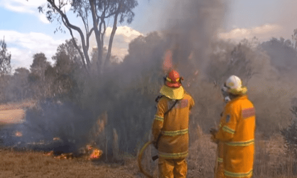 Fire Trails not being maintained – PRIME7 News North Coast 25/10/2019