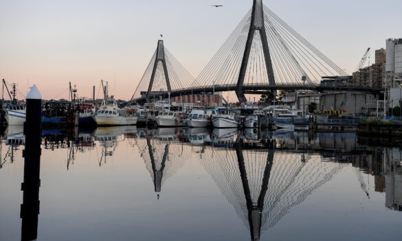 Fisheries management report handed down