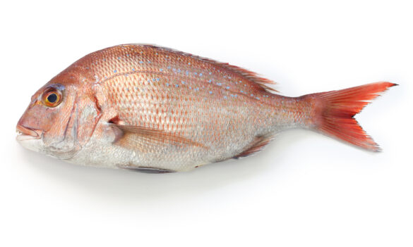 An offer of sorts: Fisheries Employees Award negotiations and the Industrial Relations Commission