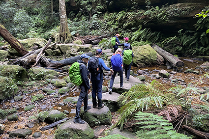 Forestry Corporation: Access period for the Enterprise Agreement opens… again