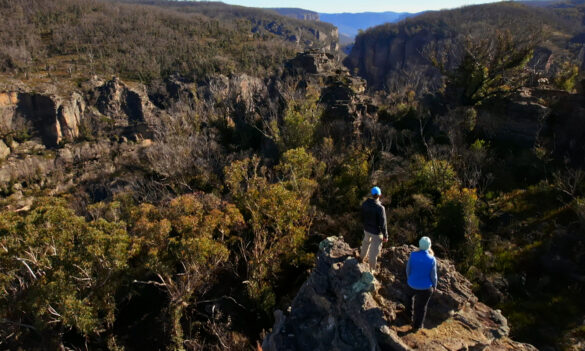 National Parks and Wildlife Service – September Bulletin