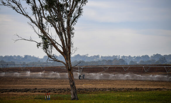 Natural Resources Access Regulator: Change Management Plan for the Regulator reform proposal