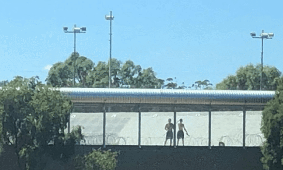 Elections for Youth Justice Departmental Committee Delegates