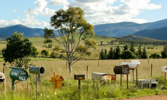 Call for nominations: Local Land Services Departmental Committee