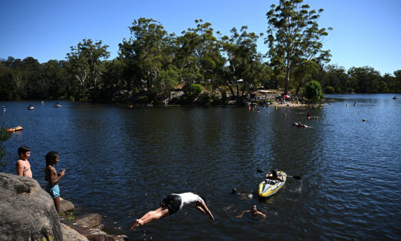 Results of Parramatta electorate survey