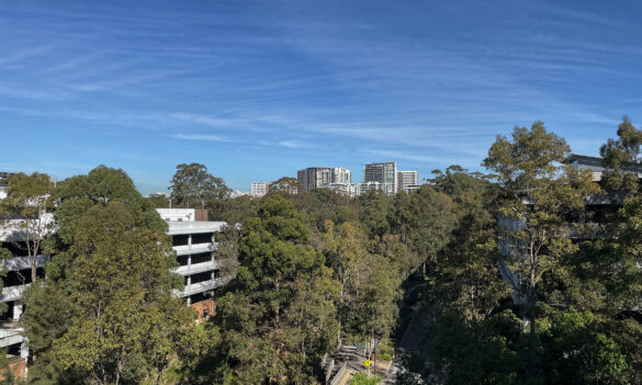 Celebrate your pay rise at the Transport For NSW Macquarie Park office