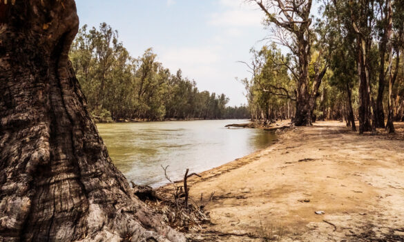 Industrial Relations Commission update