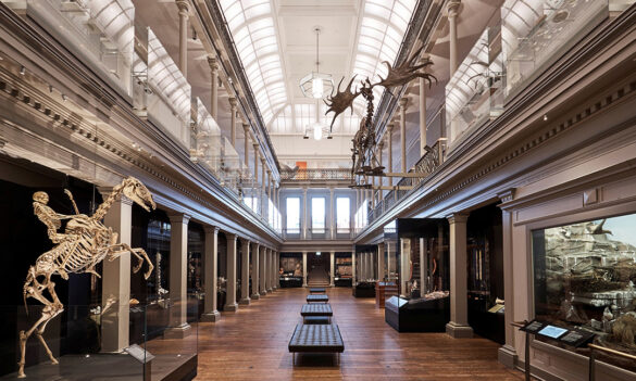 Media Release: Govt cuts risk making Art Gallery of NSW, Australian Museum “empty and expensive mausoleums” 13/04/2021