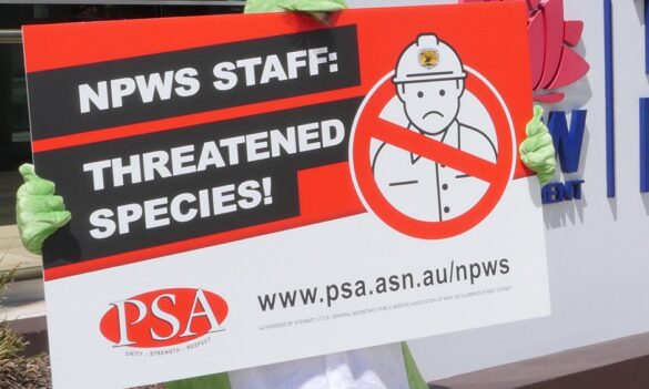 50th year celebrations for National Parks in ashes by massive restructure