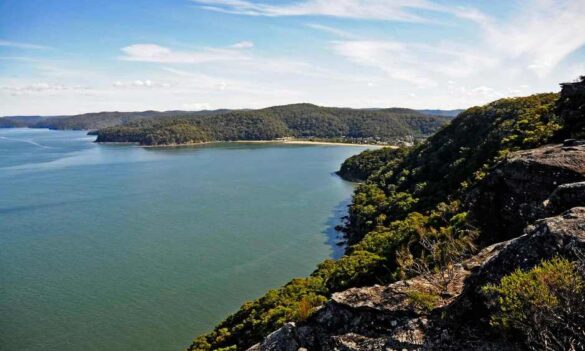 NPWS Bulletin August 2022