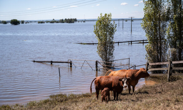 Natural disasters and school closures: your rights and additional support from the PSA