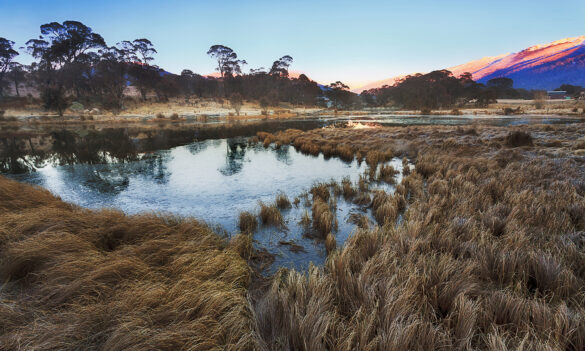 National Parks Vocational Branch bulletin