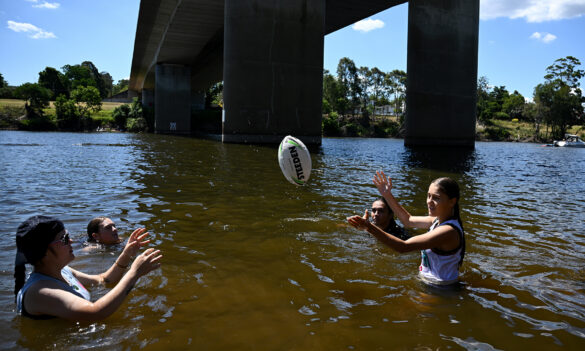 Results of Penrith electorate survey