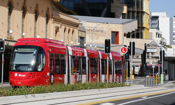 Role of the Delegate: University Professional Staff