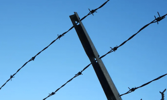 Youth Justice Departmental Committee vacancy